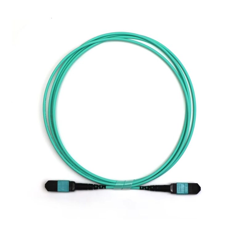 MPO-12 Multimode Patch Cord (OM3 / OM4 / OM5), LSZH, Type B